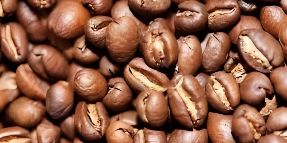 Light Roasted Coffee Beans